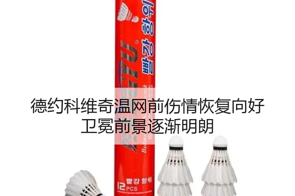 德约科维奇温网前伤情恢复向好 卫冕前景逐渐明朗 - leyu.comapp