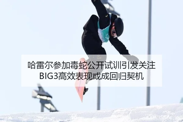 哈雷尔参加毒蛇公开试训引发关注 BIG3高效表现或成回归契机 - leyu.comapp